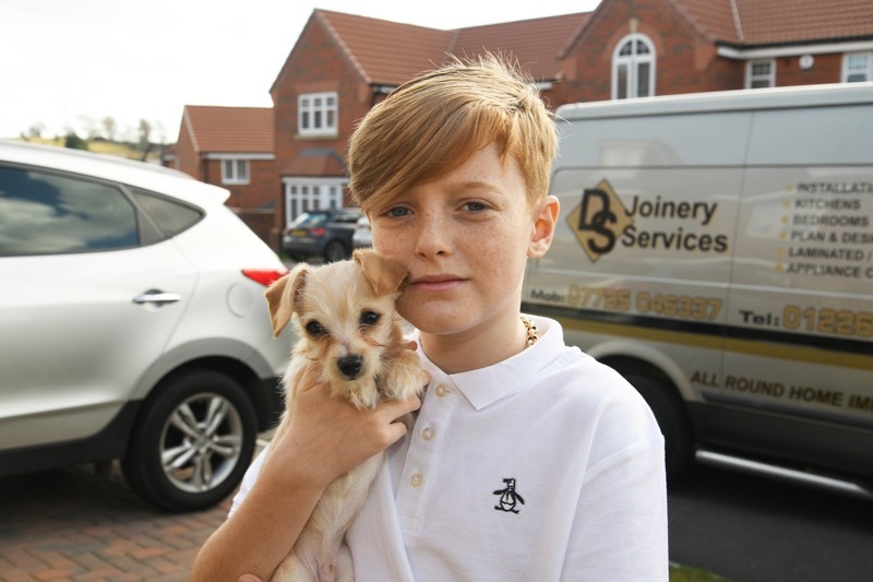 Main image for Scam victim finally gets pup