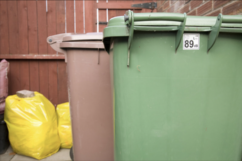 Main image for Green bin collections back after winter pause