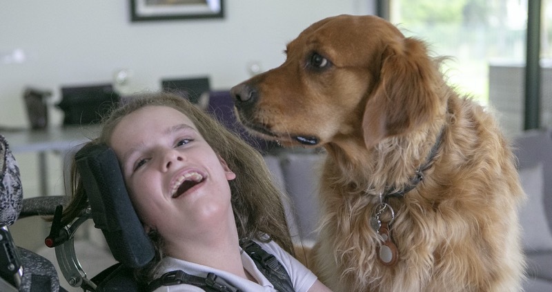 Main image for Beloved pooch in running for Crufts award