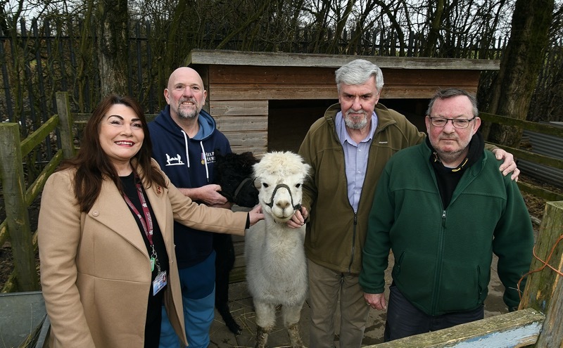 MILEFIELD FARM FUNNY FACES: The two remaining Alpacas.  Picture: Wes Hobson.  PD091853.