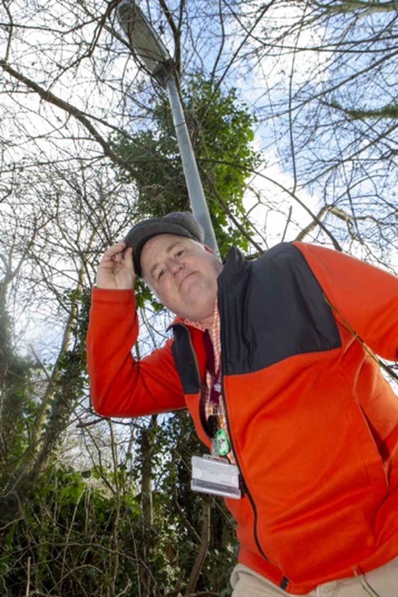 Bizarre Street Lamp: A street lamp in the middle of an over grown wood is possibly the most bizarre in barnsley according to Dickie Denton. picture Shaun Colborn PD091932