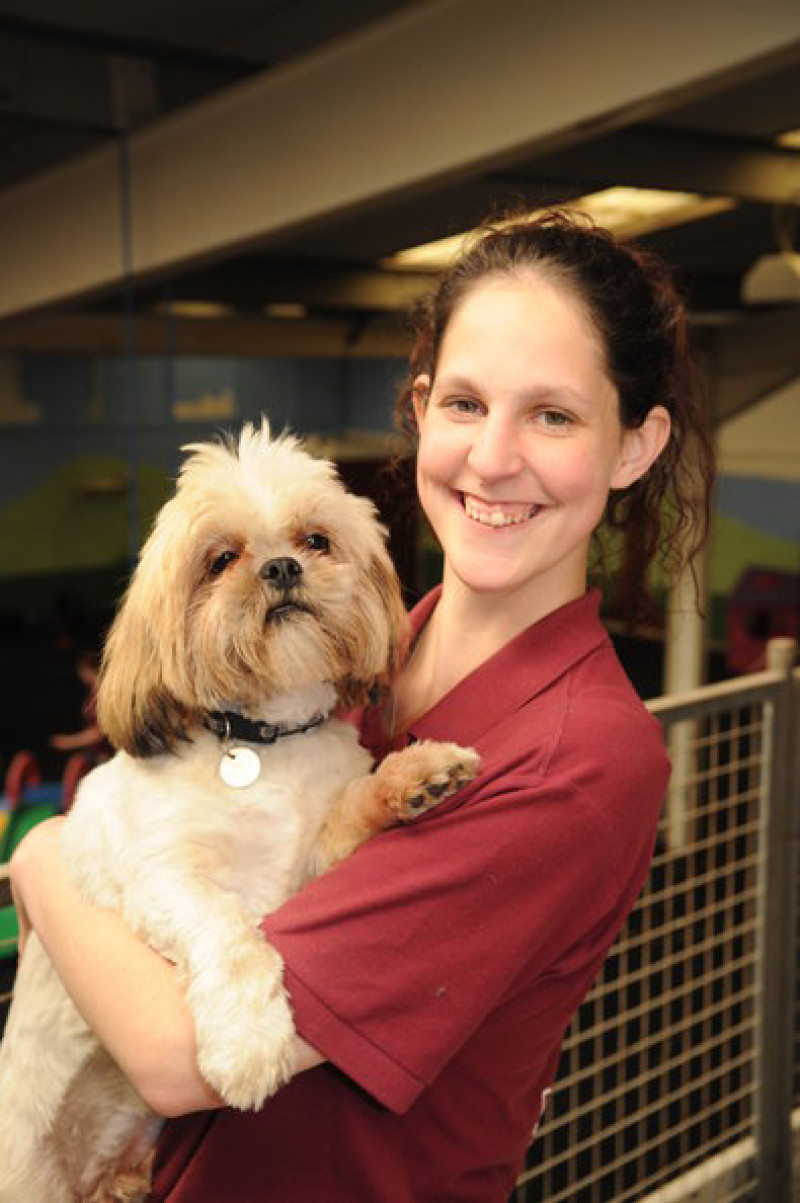 Main image for Doggy daycare...you must be barking
