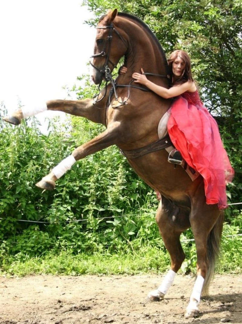 Main image for Stunt sisters in the running for TV and film