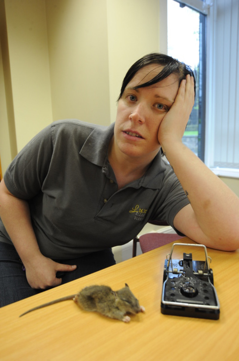 Main image for 'Hoarding' neighbours blamed for rat infestation