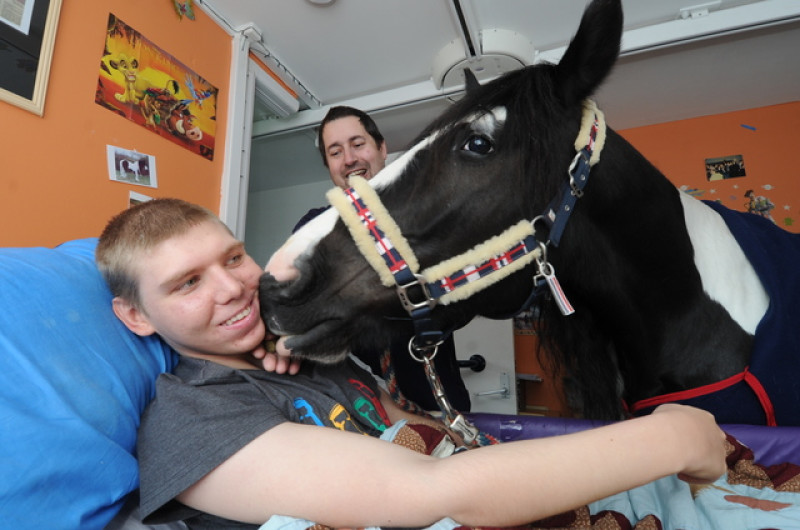 Main image for Ben gets home visit from loving pet