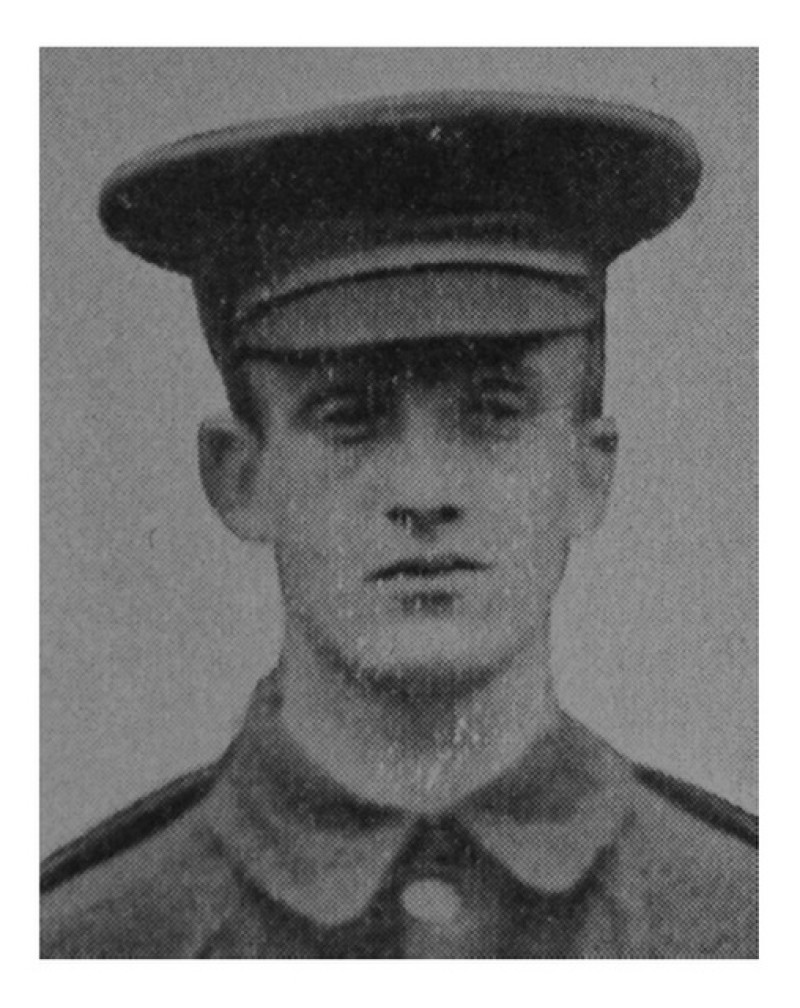 Main image for Family launch search for soldier's medals