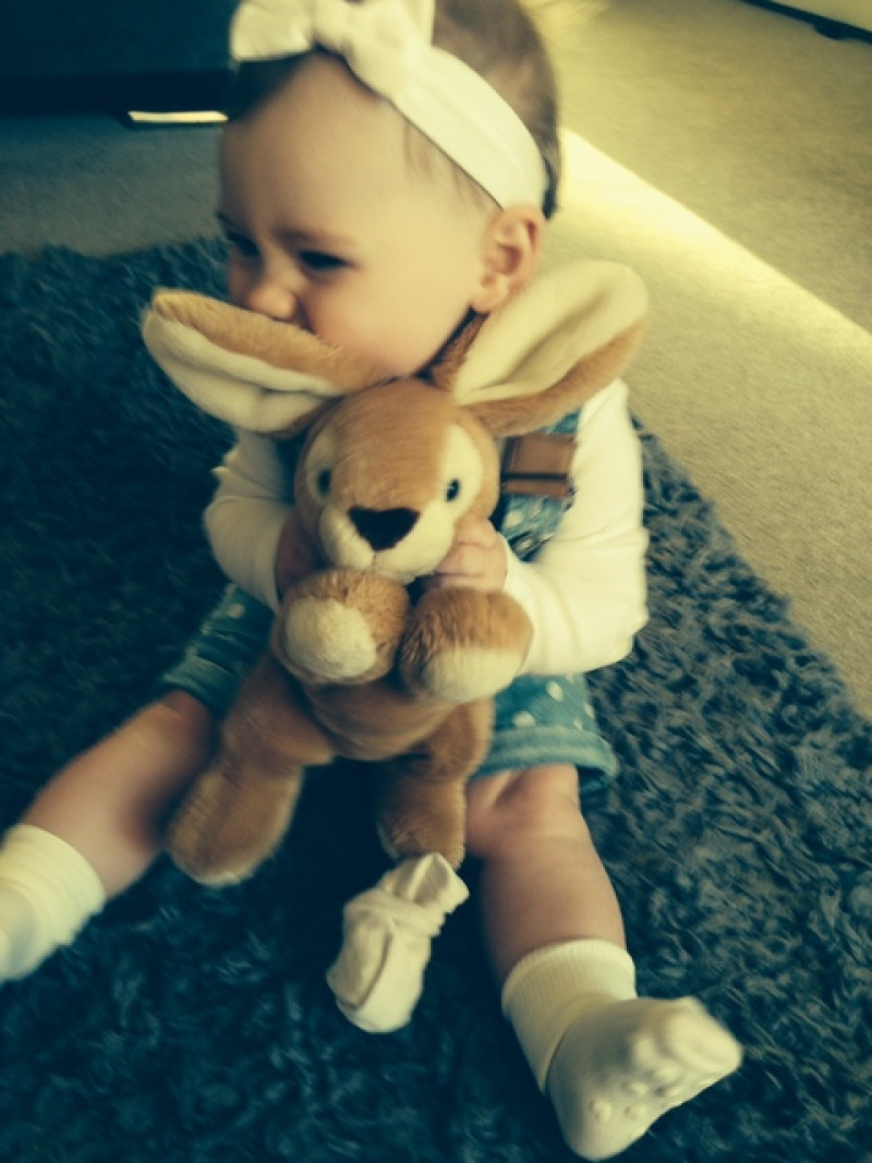 Main image for Heirloom bunny returned after Facebook campaign
