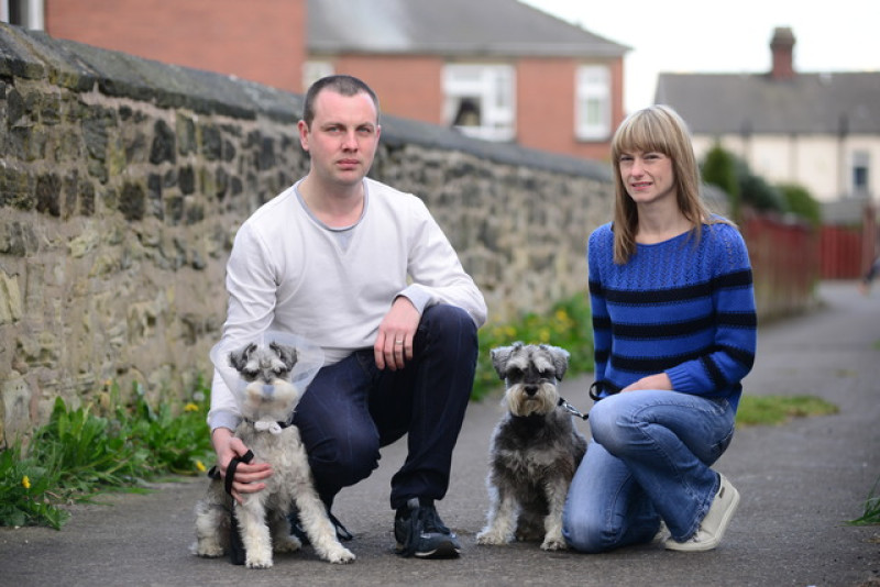 Main image for Man hailed a hero after dog rescue