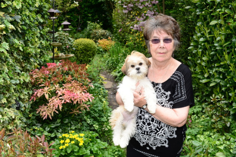 Main image for Cudworth woman sets sights on blooming lovely competition