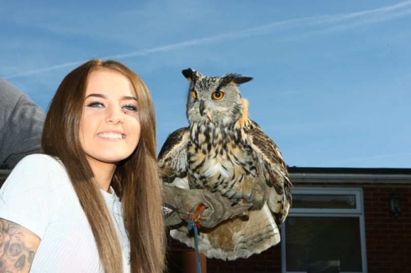 Main image for Escaped owl home after help from Facebook