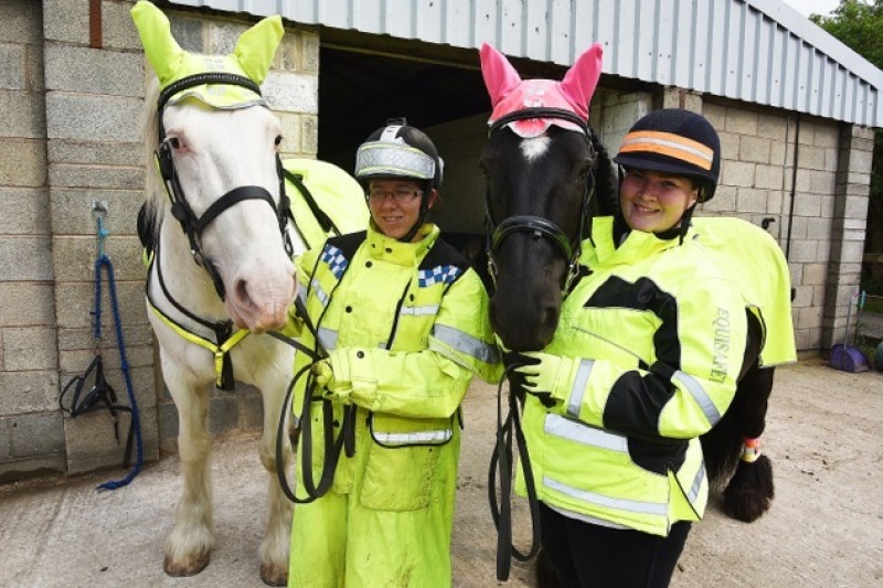 Main image for Wombwell woman calls for safer roads for horses