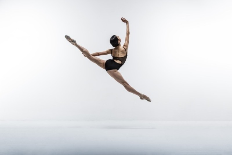 Main image for Ballerina backs Civic campaign