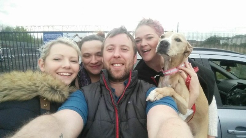 Main image for Locals help save missing dog