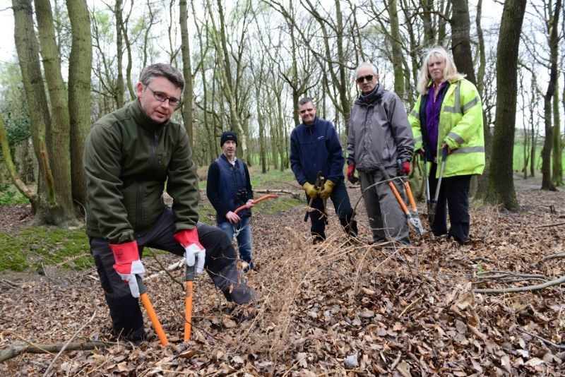 Main image for Tree-mendous work by team of volunteers