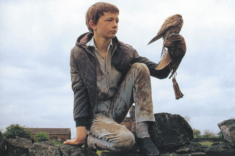 Main image for Historian hosting ‘Kes’ statue fundraiser tonight