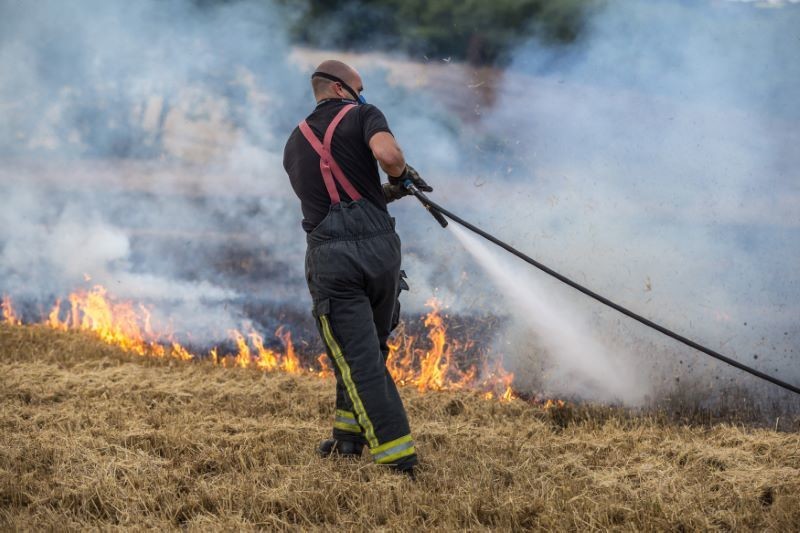 Main image for Bid to stub out repeat of arson-hit summer