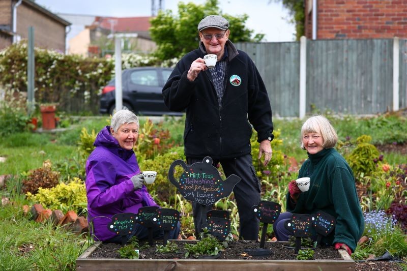 Main image for Gardeners have a brew-tea-ful idea...