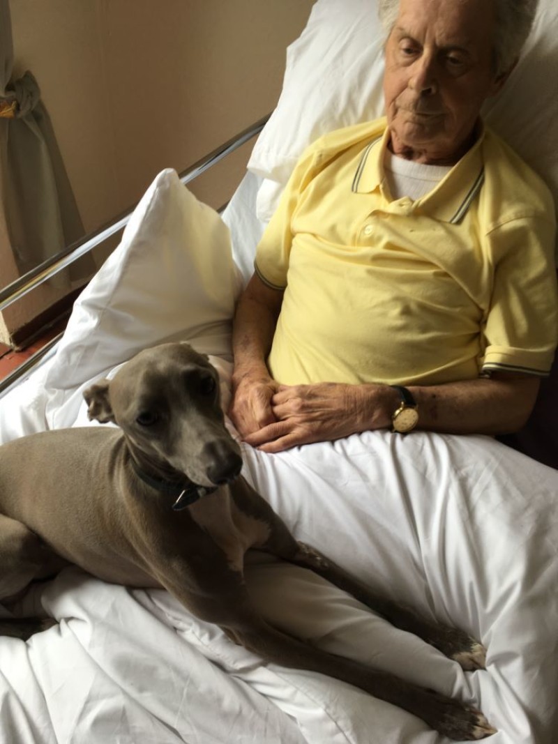 Main image for ‘Bring back Blue’ urges distraught family