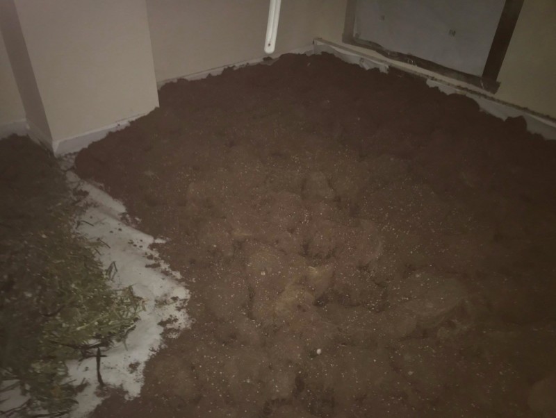 Main image for Cannabis worth half a million is seized from former town centre bar