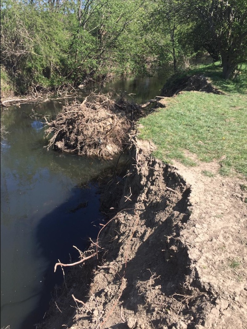 Main image for Flood concerns raised by locals