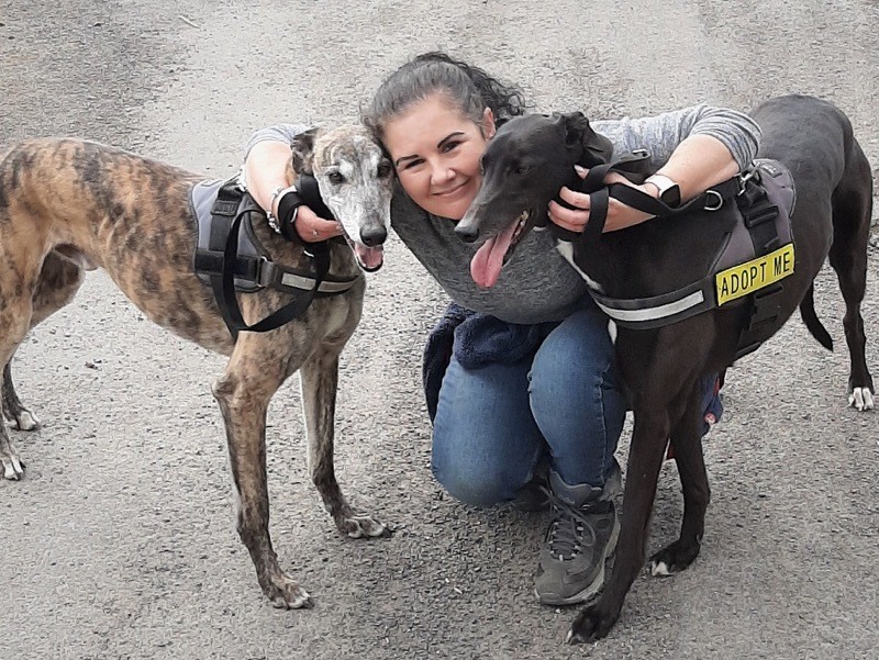 Main image for Animal charity makes plea for support