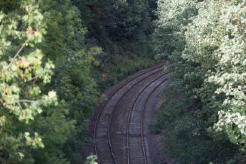Main image for Railway trespass cases on the rise