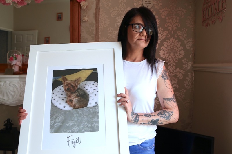 Main image for Dog fatally mauled in garden