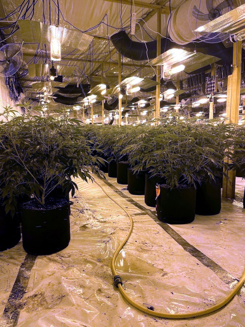 Main image for Organised crime crackdown steps up