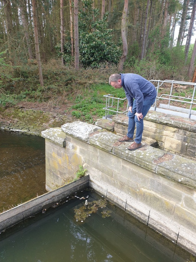 Main image for Duckling ‘death trap’ to be made safer