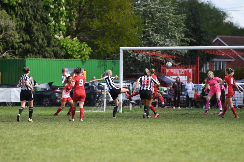 Picture: Ian Stevens