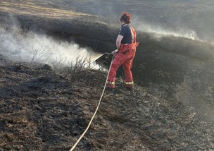 AFTERMATH: The fire earlier this month devastated the area which is home to ground-nesting skylarks.