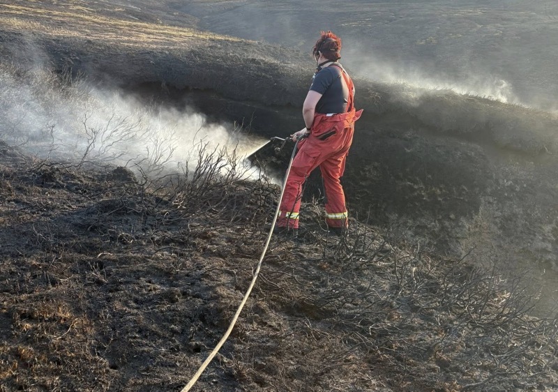 AFTERMATH: The fire earlier this month devastated the area which is home to ground-nesting skylarks.