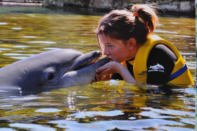 Main image for Teen who fought for life returns from dream trip