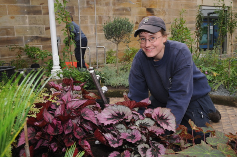 Main image for Castle conservatory reopens after £3.74 million restoration