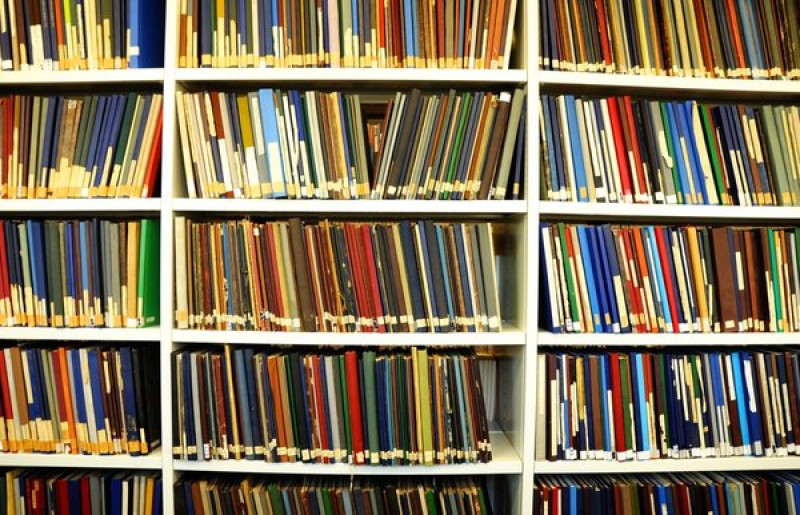 Main image for Mobile library service under threat