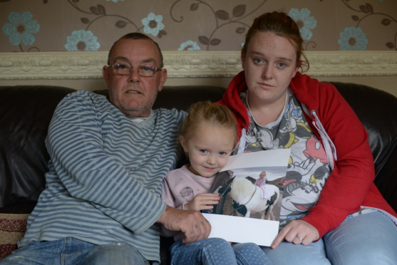 Main image for Pony put down after attack