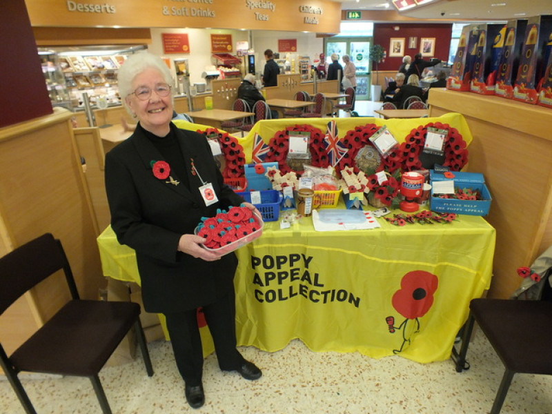 Main image for Knitter raises money for Poppy Appeal