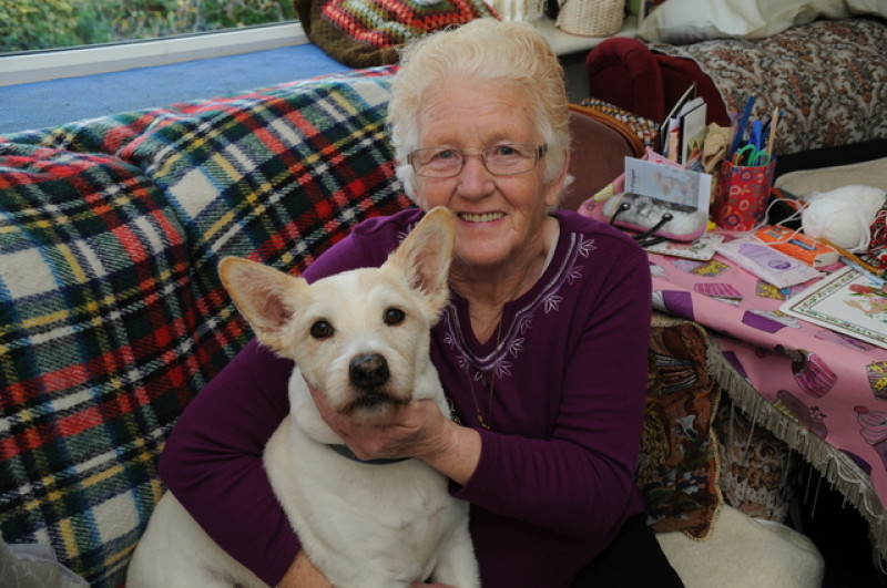 Main image for Dog saves owner from pan fire