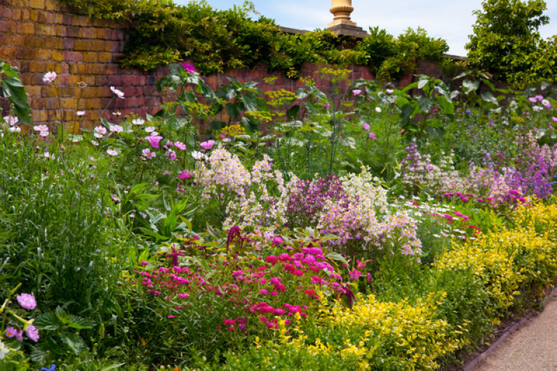 Main image for Garden waste collection suspended for winter