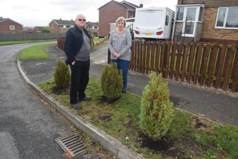 Main image for Retired couple hit out at vandals