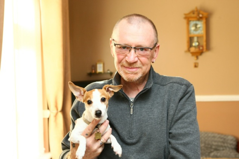 Main image for Dog injures herself during fireworks
