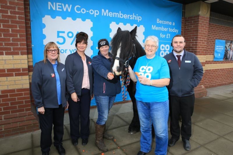 Main image for More horseplay thanks to kind donation