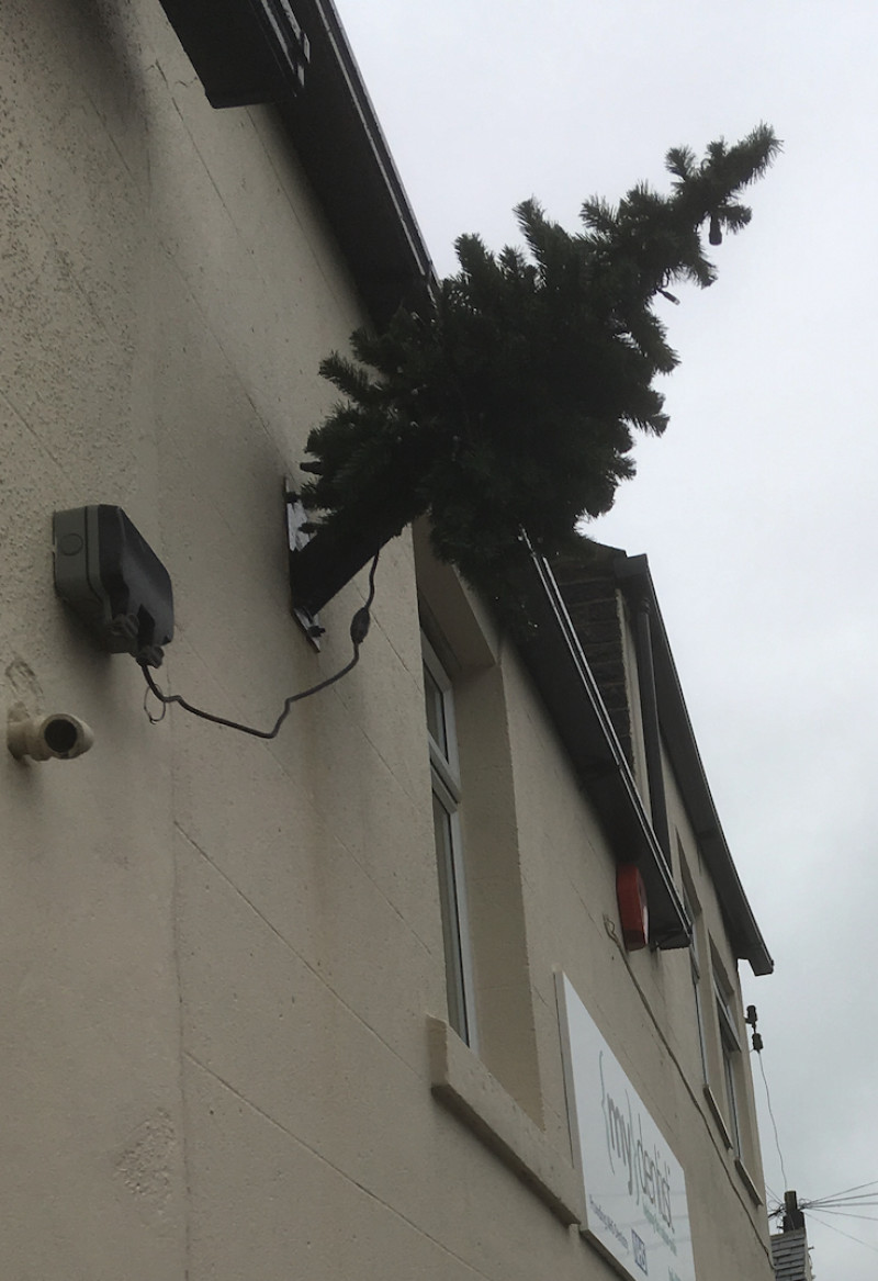 Main image for Real trees ‘too dangerous’ to put up  mayor
