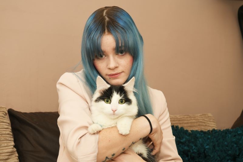 Main image for Cat Kobi has amputation after being ‘held by tail and kicked’