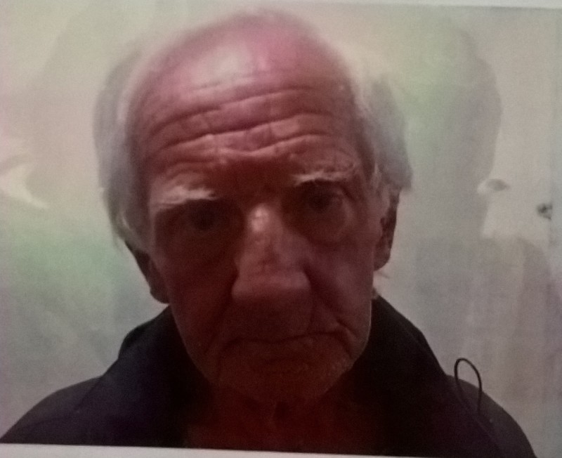 Main image for Have you seen missing Derek?