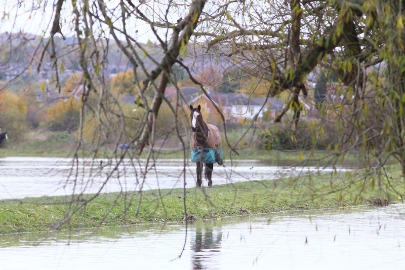 Main image for ‘Every single time it rains we start to feel panicky’