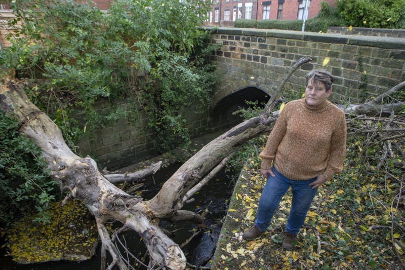 Main image for Flood worries raised by residents