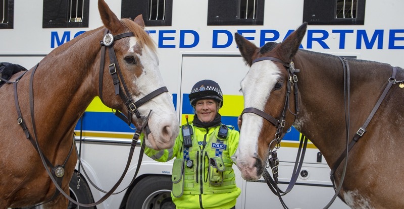 Main image for Police horses return from COP26 summit