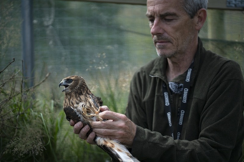 Main image for Breeding trial’s success