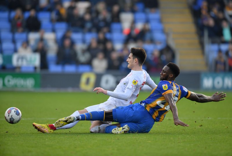 Injury doubt: Slobodan Tedic